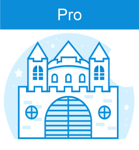 Pro